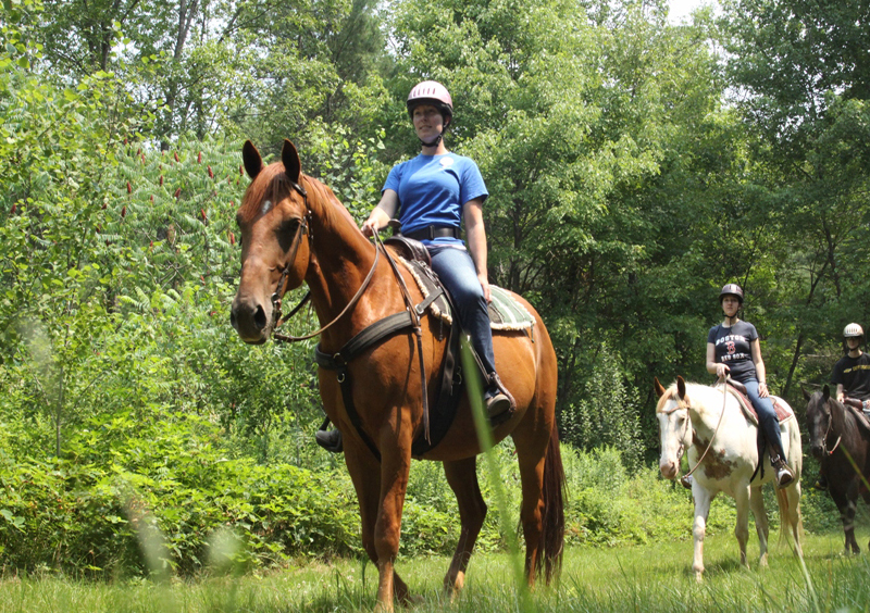 Horseback Riding