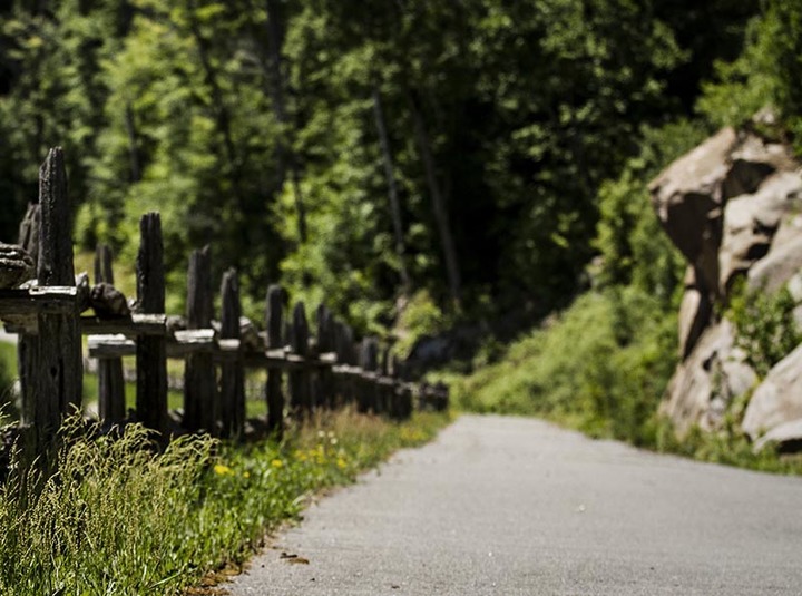 Multifunctional Trail