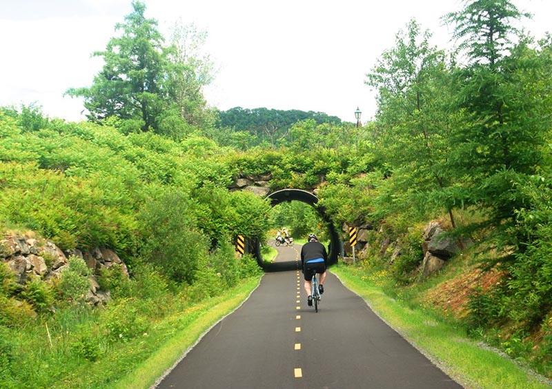 Multifunctional Trail