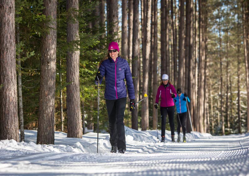 Snowshoeing and  Cross-country Skiing