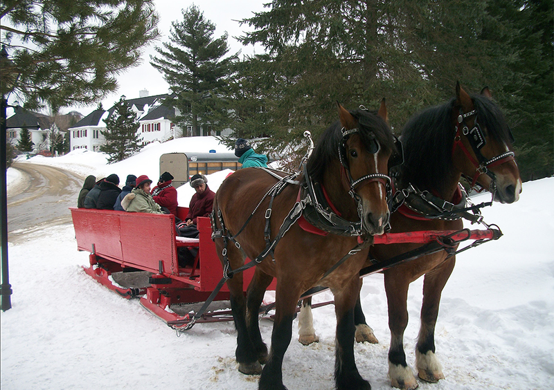 Sleigh Rides